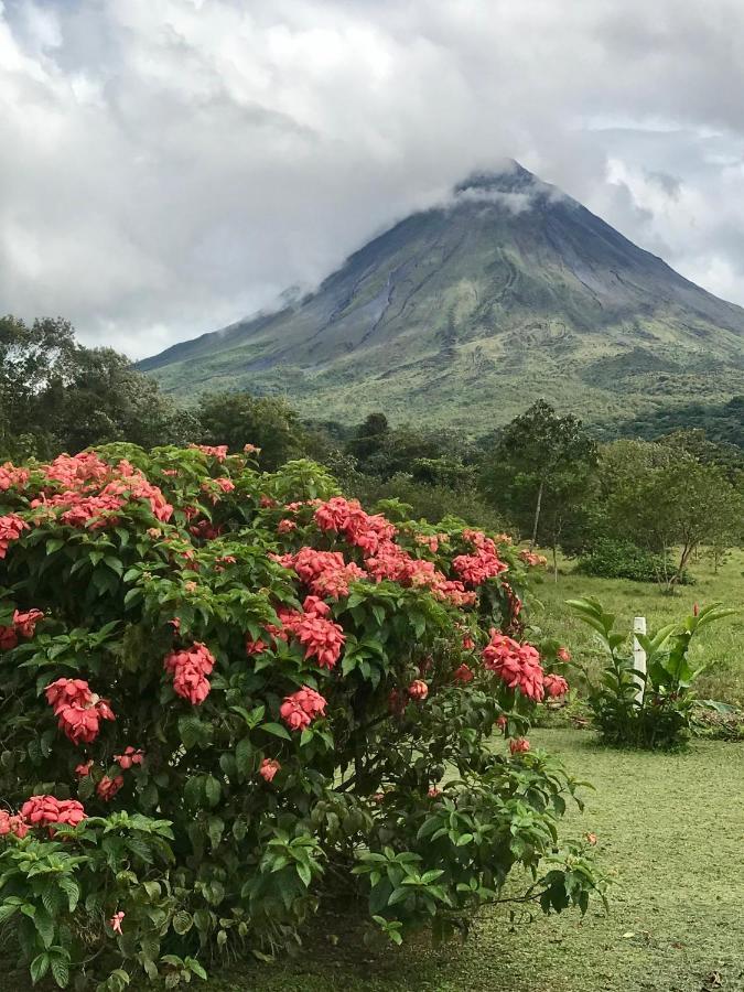 Arenal Roca Suites La Fortuna Exteriér fotografie